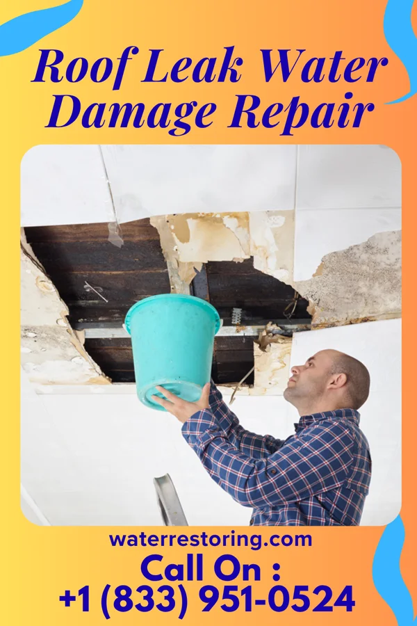 Roof Leak Water Damage Repair in Woodall, OK